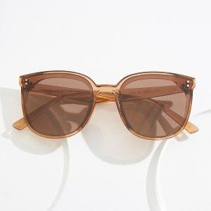 Brown Lucite Sunglasses