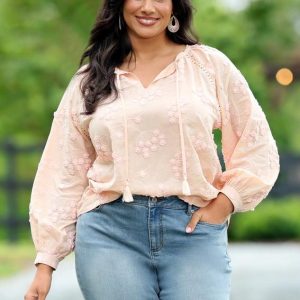 Plus Size 3d Floral Embroidered Pullover Top